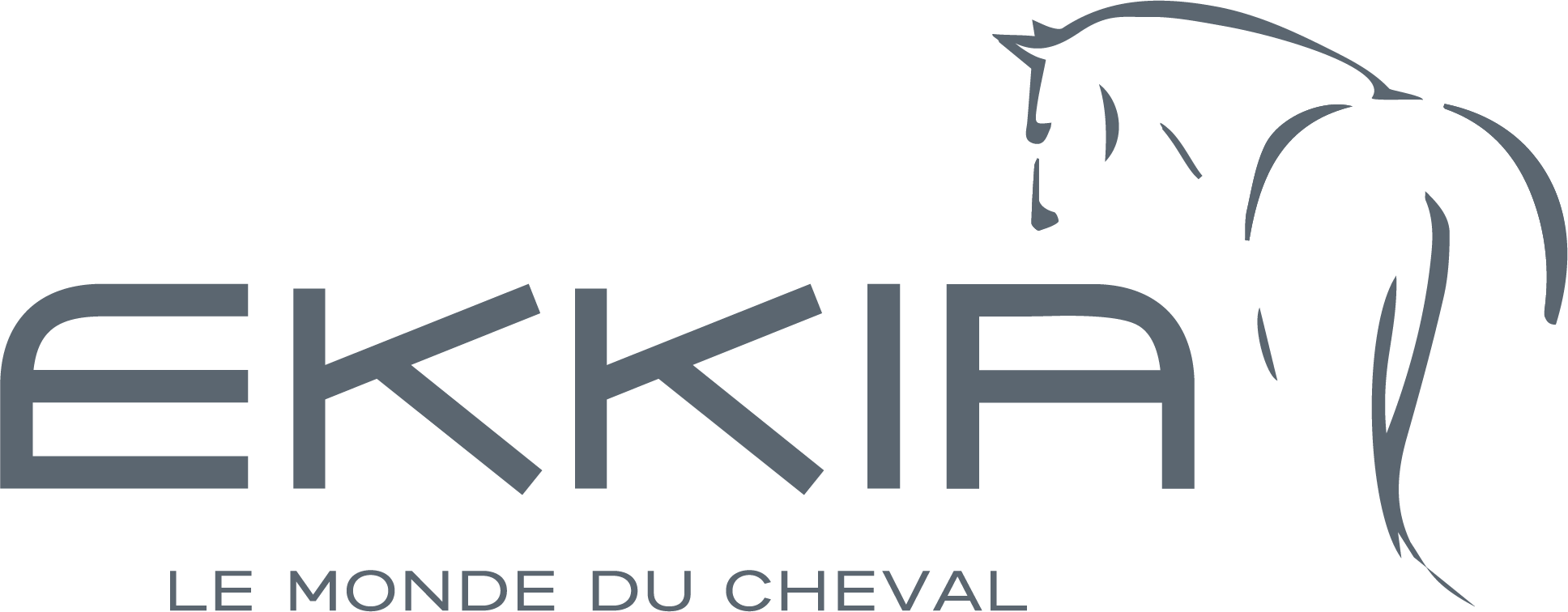 Ekkia logo